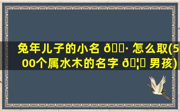 兔年儿子的小名 🌷 怎么取(500个属水木的名字 🦄 男孩)
